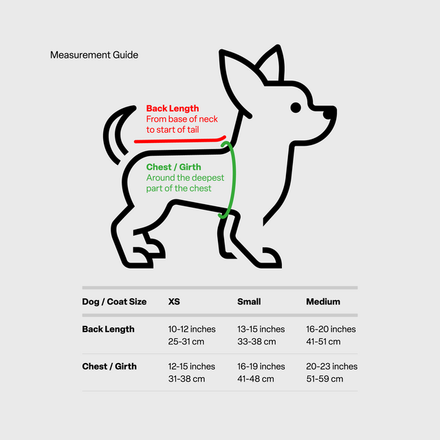 Dog coat measurement guide showing back length and chest/girth measuring points, with size chart below. Light gray background.