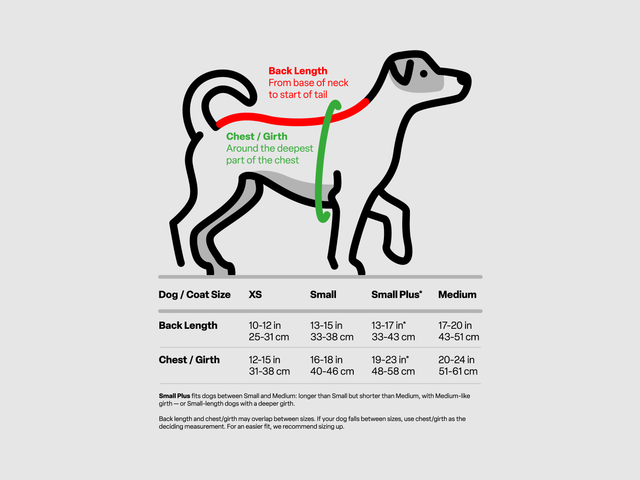 Dog coat measurement guide showing back length and chest/girth measuring points, with size chart below. Light gray background.