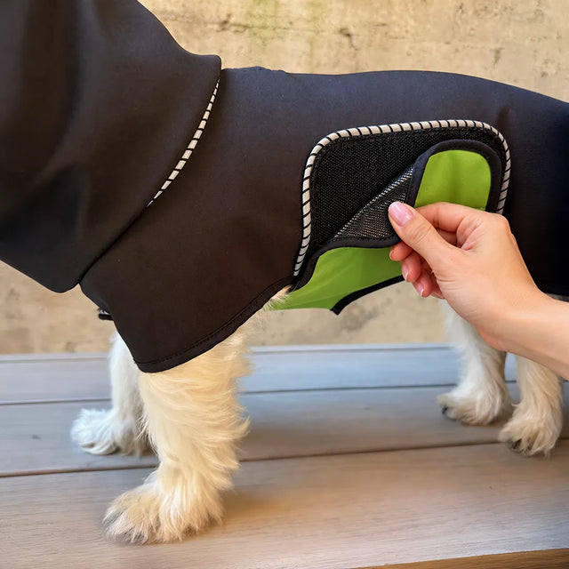 A white Westie wearing a black raincoat with a green belly wrap attached to a black loop patch on the left side of the body, being adjusted by a human hand on a wooden deck.