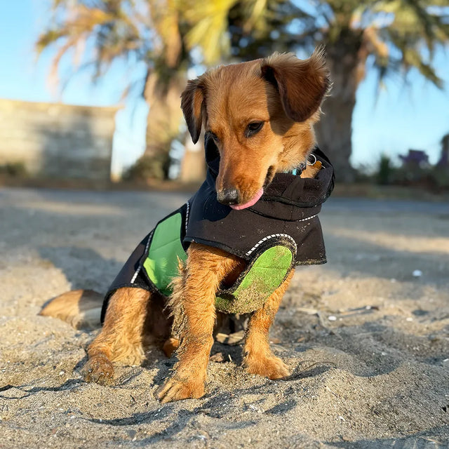 Two-part modular dog raincoat with removable belly wraps