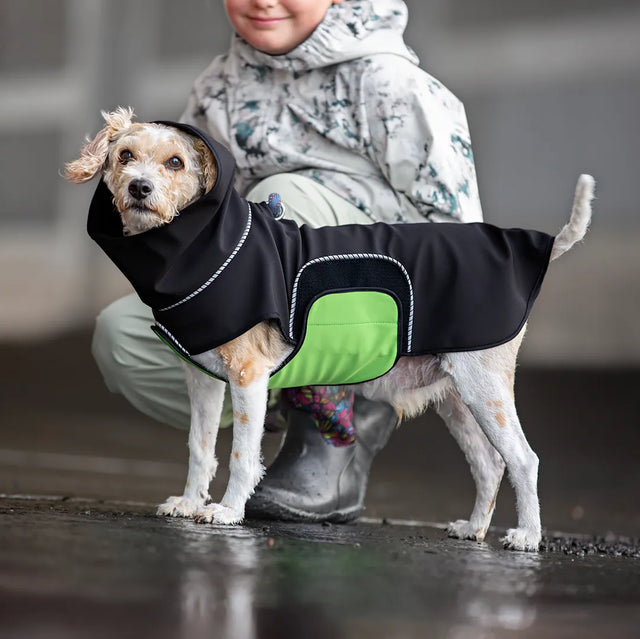 Dog wearing a black modular raincoat with a green removable belly wrap with a child in the background