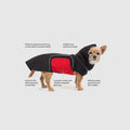 Chihuahua mix wearing a black BellySwap two-part modular dog raincoat with a red removable belly wrap, foldable hood, elastic leg straps, and reflective piping around the neck and along both sides. Shown in side view with callout lines and text labeling key features on a light gray background. 