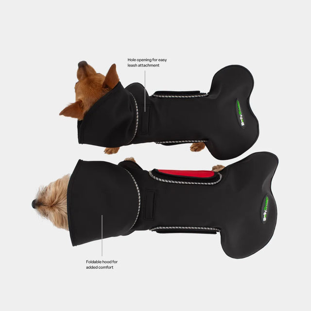 Top-down view of two dogs wearing black modular raincoats side by side, showing hood, back coverage, and leash hole.
