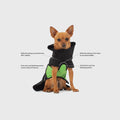 XS Chihuahua wearing a black BellySwap two-part modular dog raincoat with a removable green belly wrap, and reflective piping around the neck and chest, sitting down, shown with callout lines and text labeling key features on a light gray background.