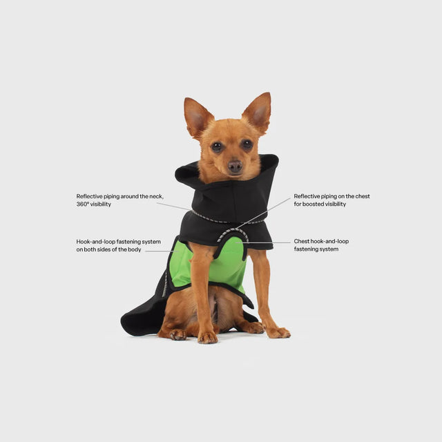 Modular, sustainable dog rainwear — designed for everyday ease and comfort