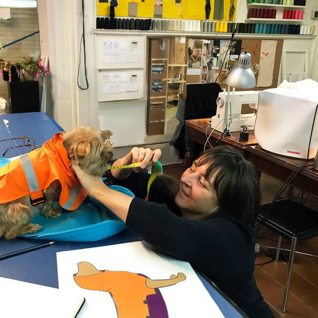Seamstress in her studio measuring a small dog in an orange coat, sewing machine in the background
