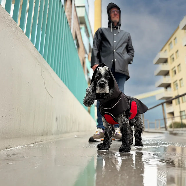 Modular, sustainable dog rainwear — designed for everyday ease and comfort