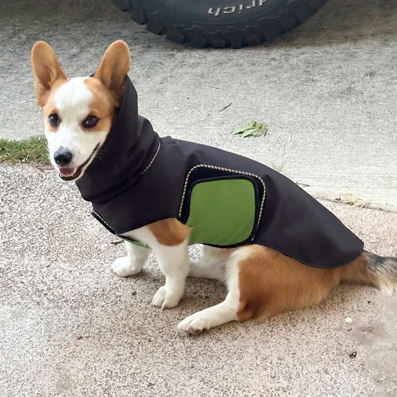 A brown and white Corgi smiling at the camera, wearing a black hooded dog raincoat with a green belly wrap and reflective piping, photographed outdoors next to a parked car tire.