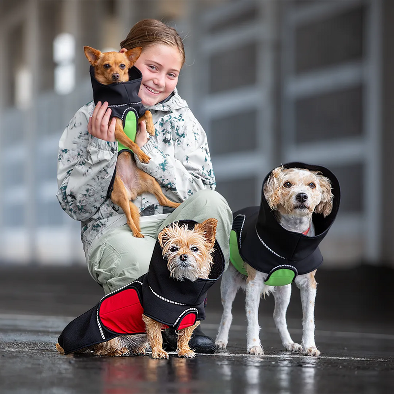 A smiling young girl crouching, wearing a raincoat, with three small dogs wearing black dog raincoats with red and green belly wraps. The girl is wearing a light camouflage hoodie and light green pants.