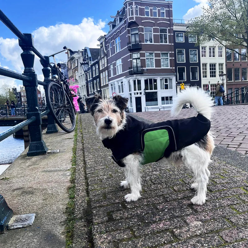 A medium white and tan Jack Russell dog stands on a cobblestone canal-side path in the city of Amsterdam wearing a black dog raincoat with a green belly wrap. Historic canal houses line the background under a blue sky with clouds, with bicycles and a bridge visible on the left.