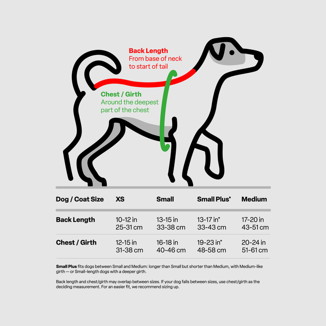 Dog coat measurement guide showing back length and chest/girth measuring points, with size chart below. Light gray background.