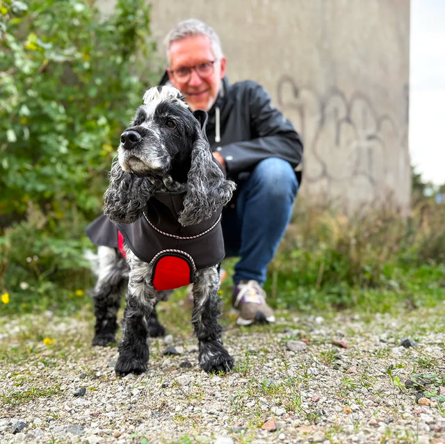 Man with a cockerspaniel wearing a black modular raincoat with a removable red belly wrap outdoors.