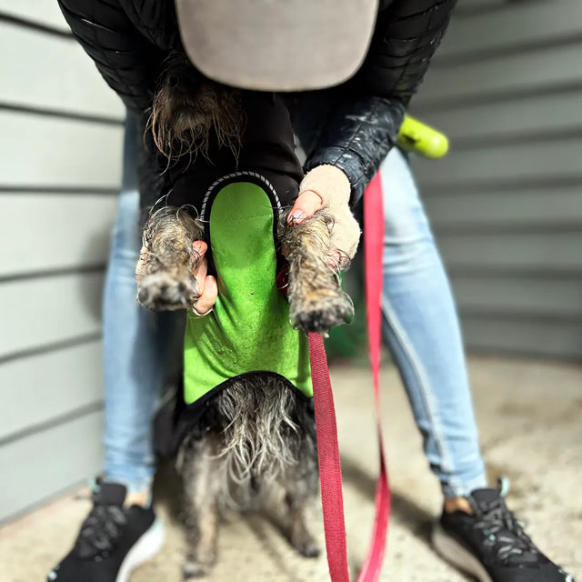 Person holding a dog on a leash standing on it's back legs, wearing a black modular raincoat with a green removable belly wrap