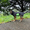 Dog wearing a black modular raincoat with a removable green belly wrap standing on a sidewalk with grass and trees in the background