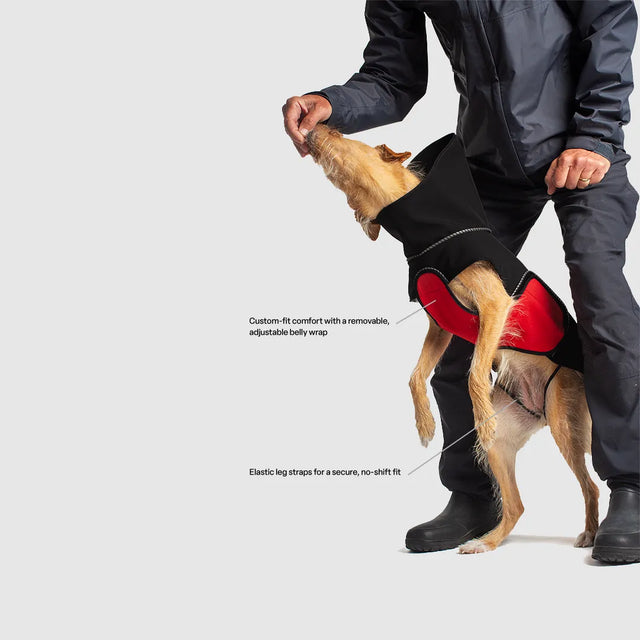 Modular, sustainable dog rainwear — designed for everyday ease and comfort