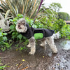Dog wearing a black raincoat standing on a muddy trail with plants in the background