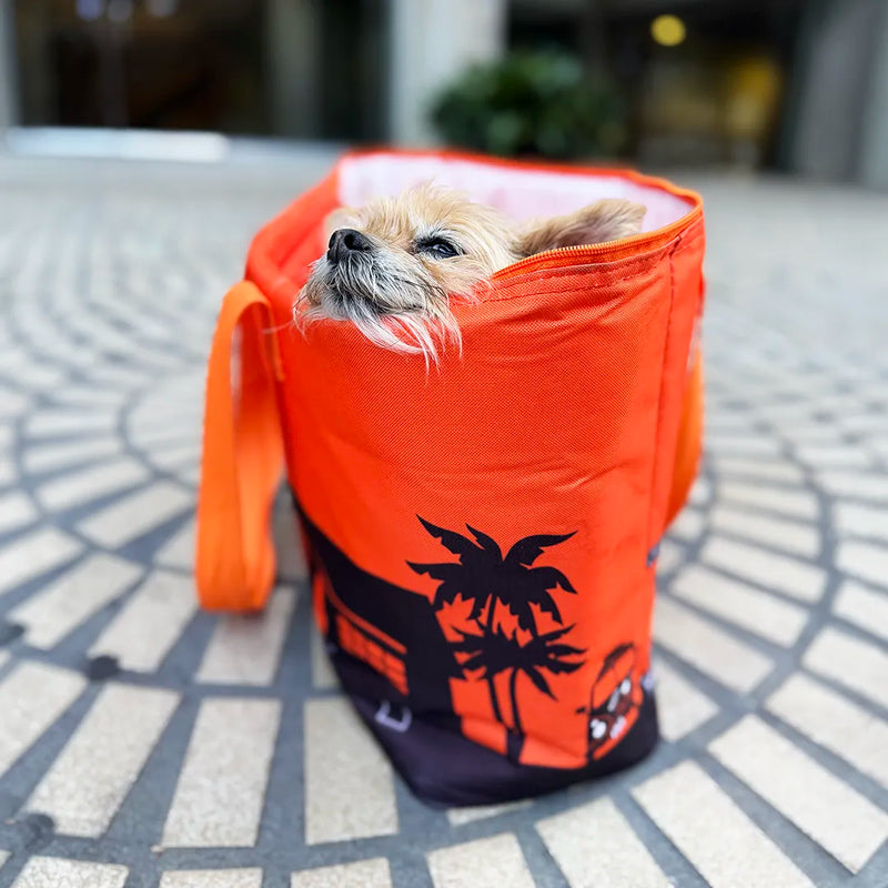 A small tan Yorkie mix dog peeks out from an orange insulated Trader Joe’s tote bag with a black palm tree graphic, placed on a tiled outdoor floor. The dog is resting between photoshoots :)
